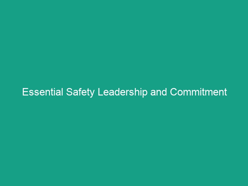 Essential Safety Leadership and Commitment Guidelines for Effective HSE