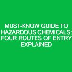 Must-Know Guide to Hazardous Chemicals: Four Routes of Entry Explained