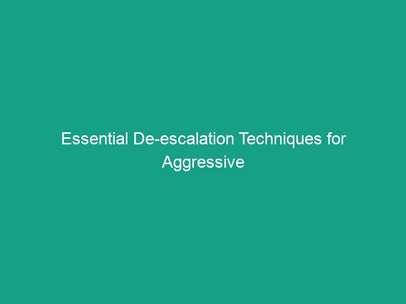 Essential De-escalation Techniques for Aggressive Behavior in HSE