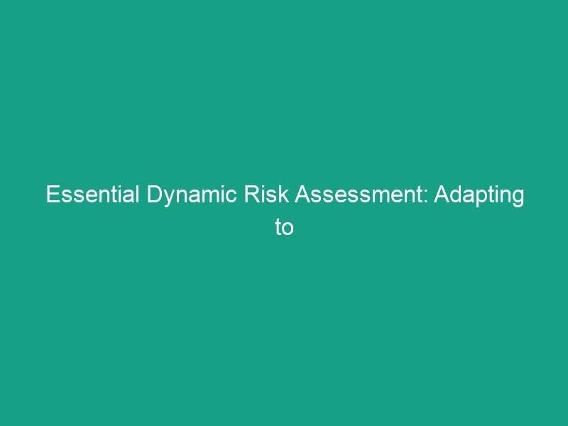 Essential Dynamic Risk Assessment: Adapting to Changing Conditions