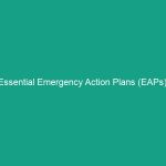 Essential Emergency Action Plans (EAPs): Comprehensive Procedures You Need