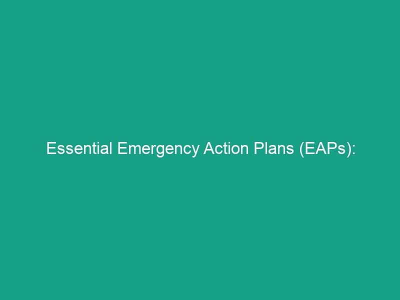 Essential Emergency Action Plans (EAPs): Comprehensive Procedures You Need