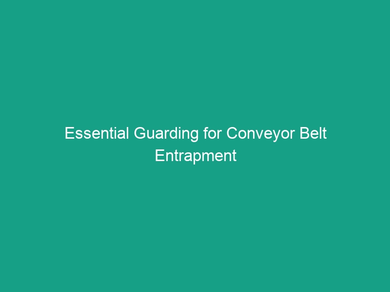 Essential Guarding for Conveyor Belt Entrapment Hazards: Emergency Stops