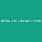 Essential Guide: Coordination of Multiple Contractors to Prevent Conflicts