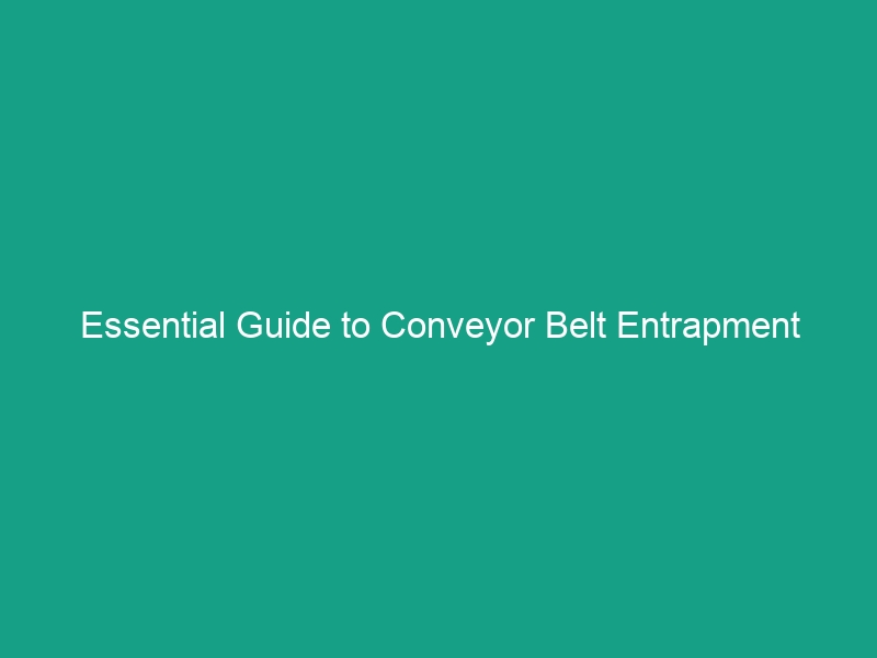 Essential Guide to Conveyor Belt Entrapment Hazards: Guarding & Emergency Stops