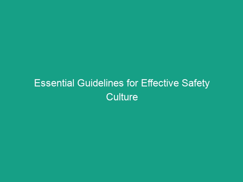 Essential Guidelines for Effective Safety Culture Development in HSE