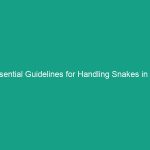 Essential Guidelines for Handling Snakes in the Workplace Safely