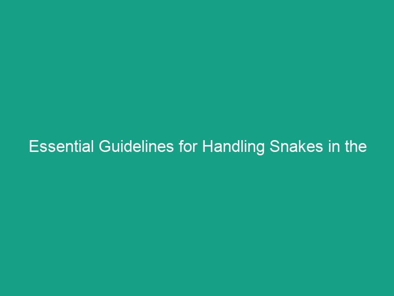 Essential Guidelines for Handling Snakes in the Workplace Safely
