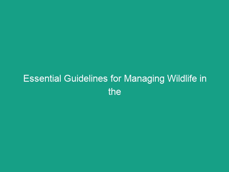 Essential Guidelines for Managing Wildlife in the Workplace Safely