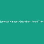 Essential Harness Guidelines: Avoid These Critical Safety Risks Today
