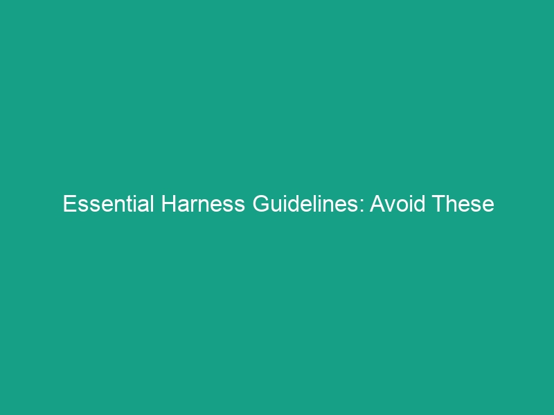 Essential Harness Guidelines: Avoid These Critical Safety Risks Today