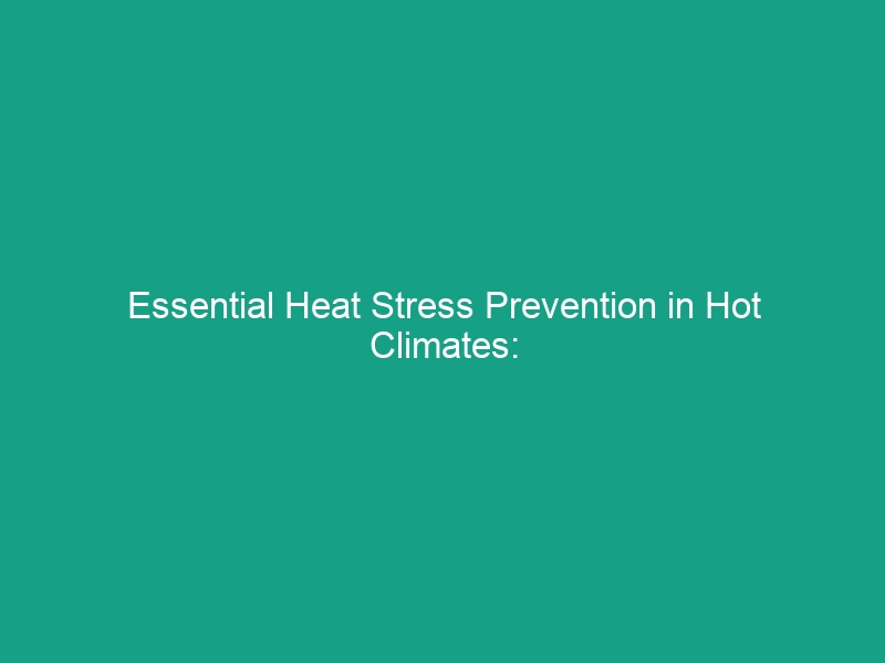 Essential Heat Stress Prevention in Hot Climates: 5 Must-Know Tips
