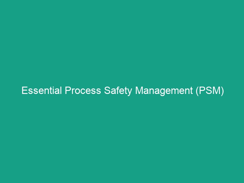 Essential Process Safety Management (PSM) Guidelines to Avoid Risks