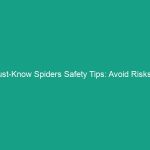 Must-Know Spiders Safety Tips: Avoid Risks in Your Workplace