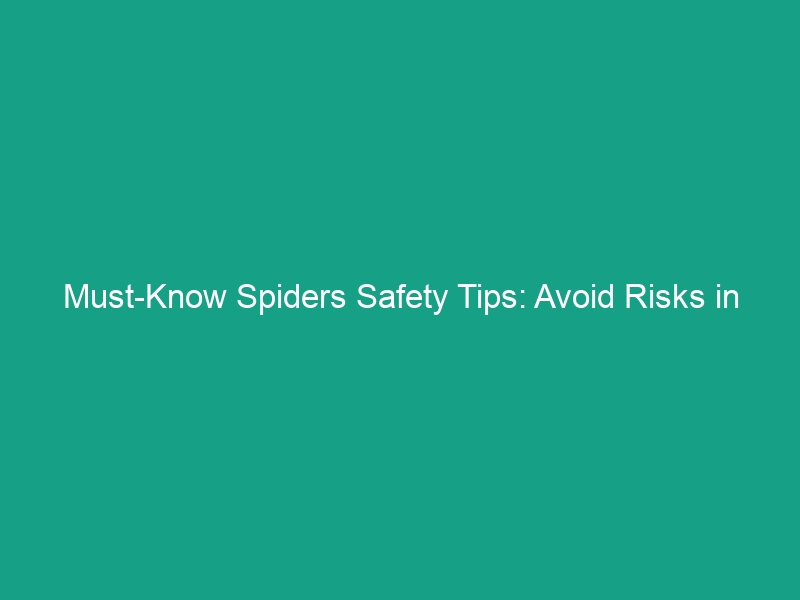 Must-Know Spiders Safety Tips: Avoid Risks in Your Workplace