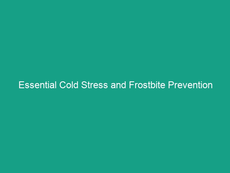 Essential Cold Stress and Frostbite Prevention Tips You Must Know