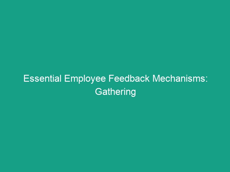 Essential Employee Feedback Mechanisms: Gathering Safety Suggestions Effectively