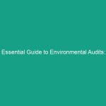 Essential Guide to Environmental Audits: Identifying and Addressing Risks