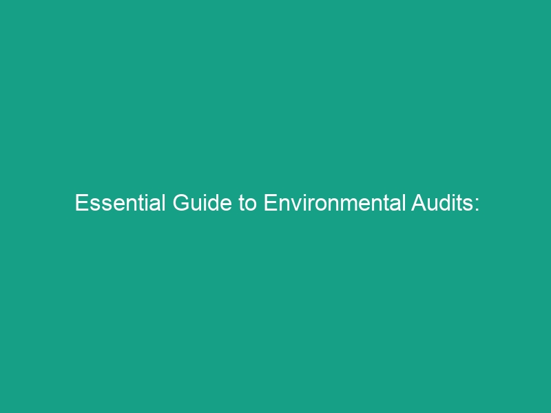 Essential Guide to Environmental Audits: Identifying and Addressing Risks