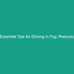 Essential Tips for Driving in Fog: Reduced Visibility and Safe Techniques