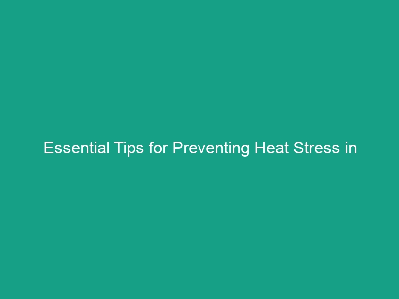 Essential Tips for Preventing Heat Stress in Agricultural Settings